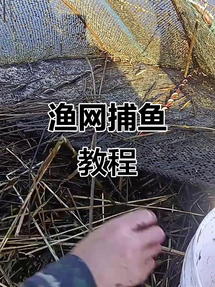 详细阅读:Fishing Tips (Tota God of War Fishing Tips) Fishing Tips (Tota God of War Fishing Tips)